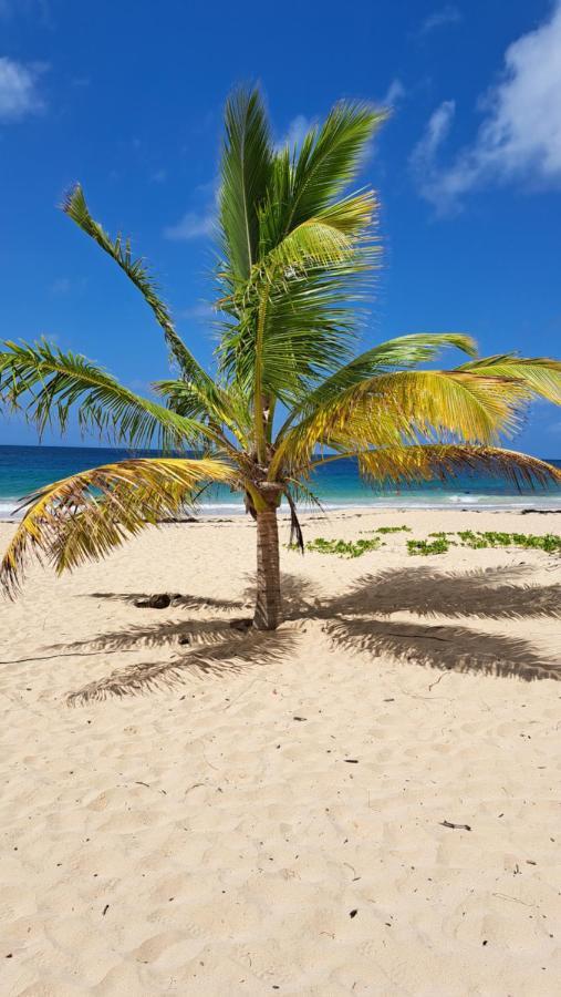 Studio Plage De L'Anse Caritan Sainte-Anne Exterior photo