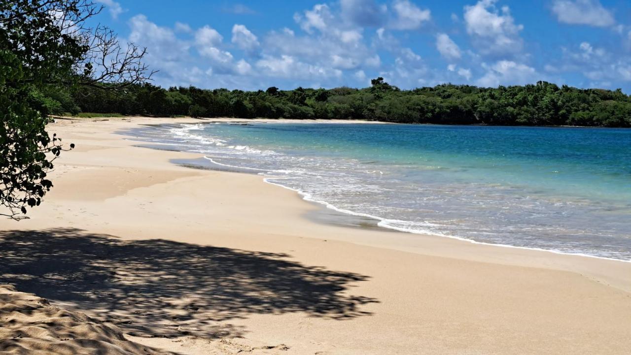 Studio Plage De L'Anse Caritan Sainte-Anne Exterior photo
